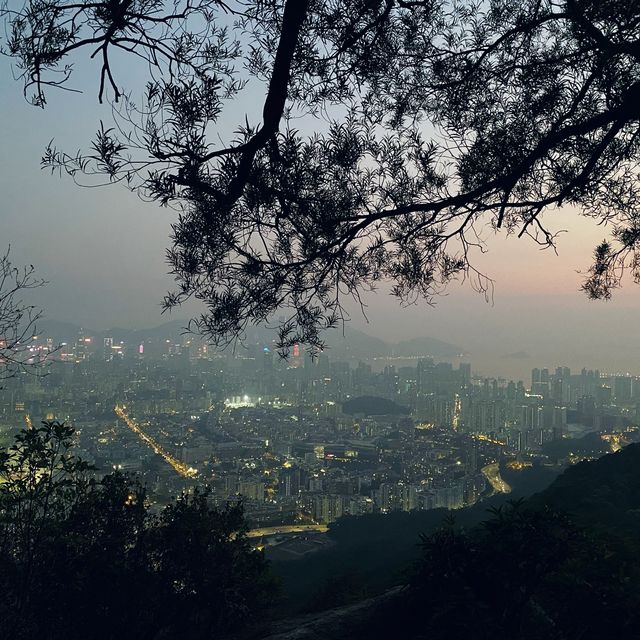 市區超級方便既行山路徑.獅子山