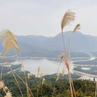 千島湖景色醉人