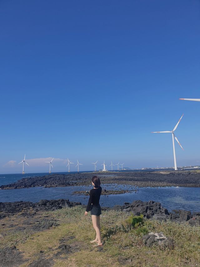 제주도는 바람빠지면 섭하지! 