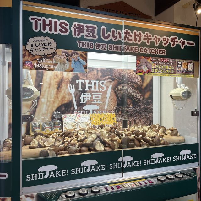 【静岡】伊豆お土産がなんでもそろう「伊豆・村の駅」