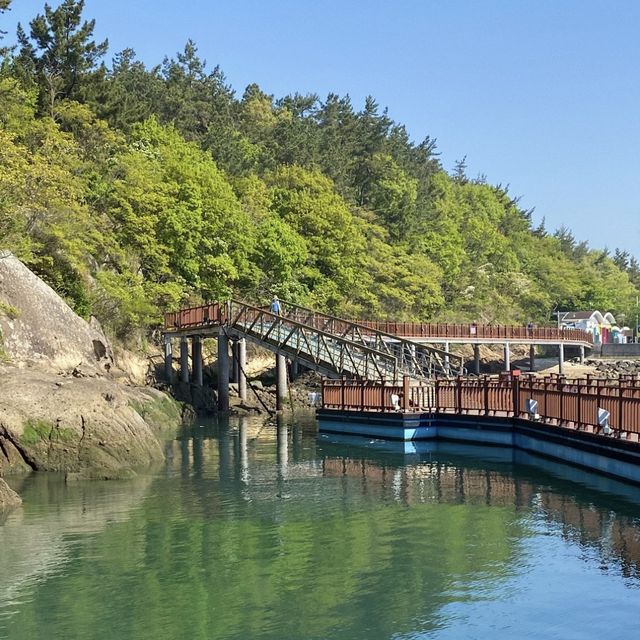 요즘은 산책도 바닷가에서 한다며 ? | 목포 평화광장