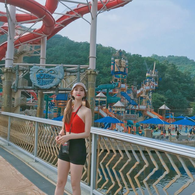 여름에만 열리는 놀이공원! 비발디파크 오션월드 🤿
