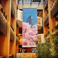 お花見シーズン〜東京ミッドタウン