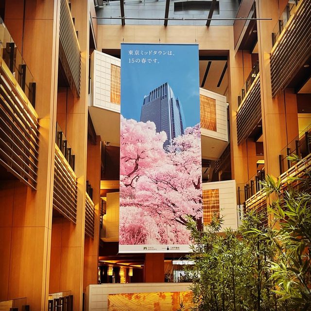 お花見シーズン〜東京ミッドタウン