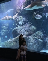 體驗不一樣的水族館 | 曼谷旅行