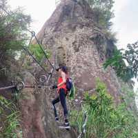 Xiaozishan Trail 孝子山步道🐾爬爬山呼吸新鮮空氣🌳新北平溪