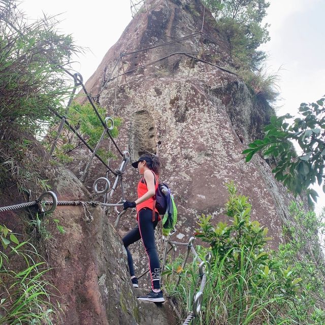 Xiaozishan Trail 孝子山步道🐾爬爬山呼吸新鮮空氣🌳新北平溪