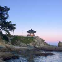 부산 가볼만한 곳 송정해수욕장 🏖