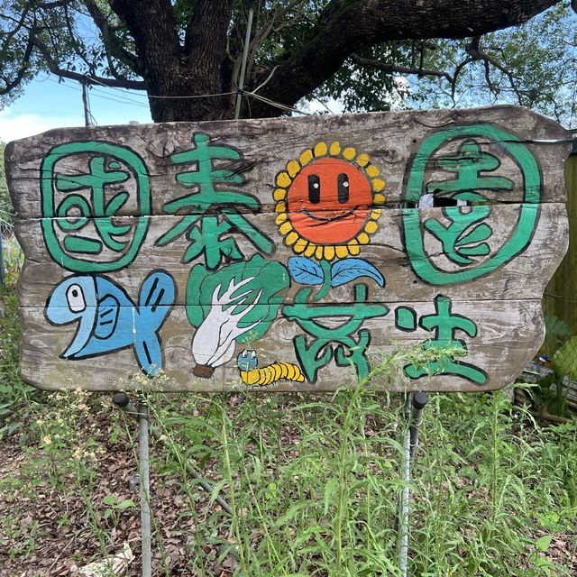 非常有愛❤️的魚菜共生嘅實驗農場