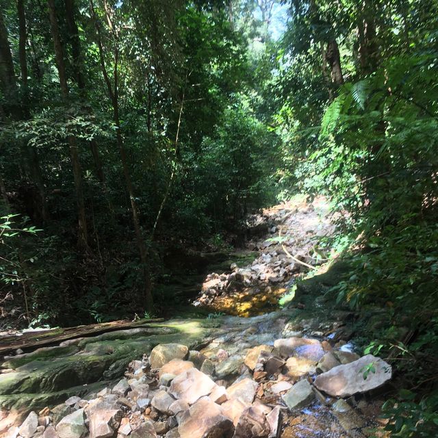rainforest hiking in Borneo 