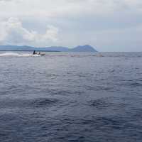 아름다운 코타키나발루의 마누칸, 마무틱섬 