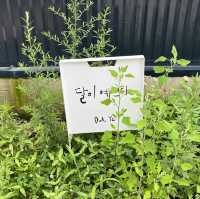 🌙백운호수 뷰맛집 카페 :: 달이예쁘다🌙