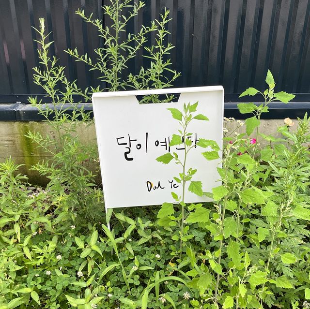 🌙백운호수 뷰맛집 카페 :: 달이예쁘다🌙