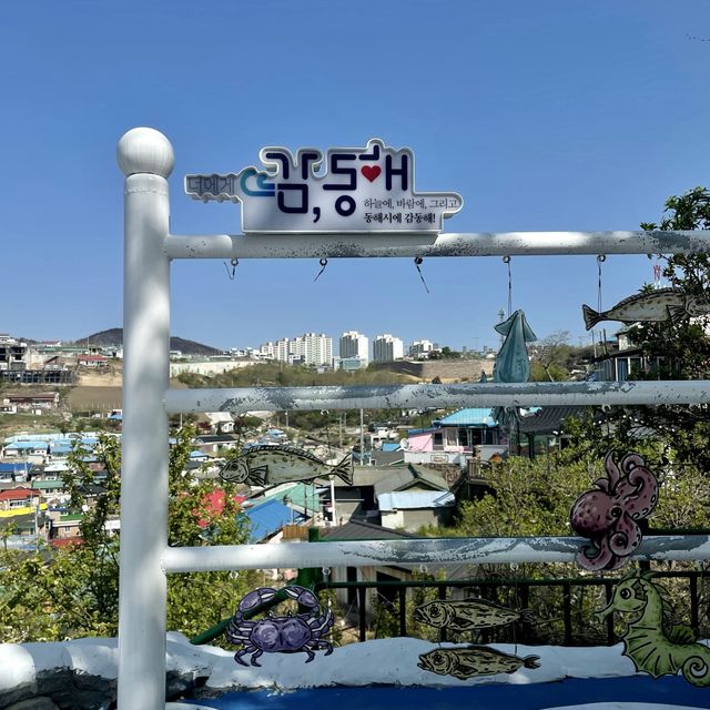 동해여행 필수코스! 바다와 묵호항을 한 눈에 담을 수 있는 <논골담길&논골카페>