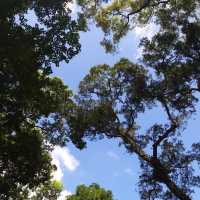 角板山公園，復興公園