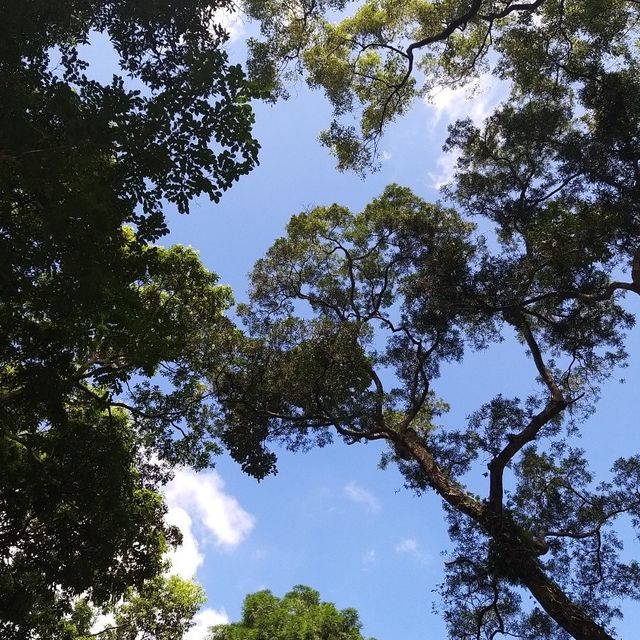 角板山公園，復興公園
