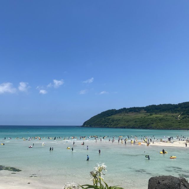 에메랄드 빛 바다가 펼쳐진 제주도 해수욕장🌊