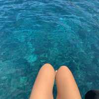 式根島🐬