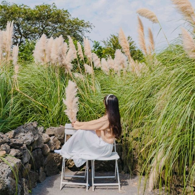 ⛰️가을이 가득히 피어난 아름다운정원 [제주, 마노르블랑]