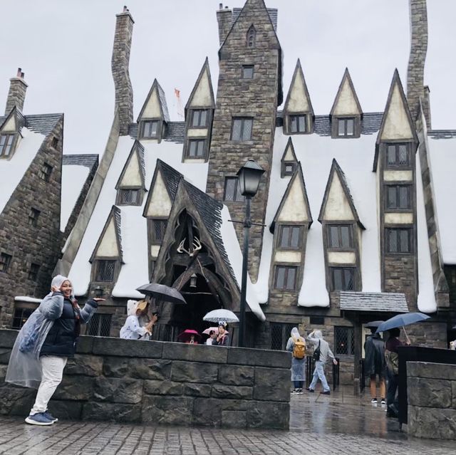 The Wizarding World of Harry Potter 