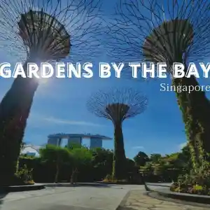 Gardens by the Bay​ แลนด์มาร์ค​เมืองสิงคโปร์​