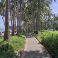 Island Paradise at our Doorstep 
