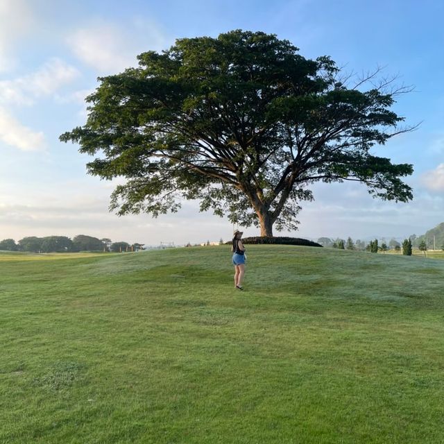 mövenpick khao yai มากี่ครั้งก็ไม่เบื่อ