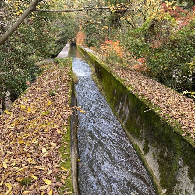 京都地位崇高、日本禪宗最高寺院 – 南禪寺