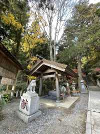 【福岡】九州のお伊勢さん