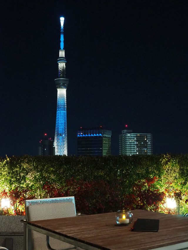 ザ・ゲートホテル雷門＊宿泊者専用の絶景展望テラス