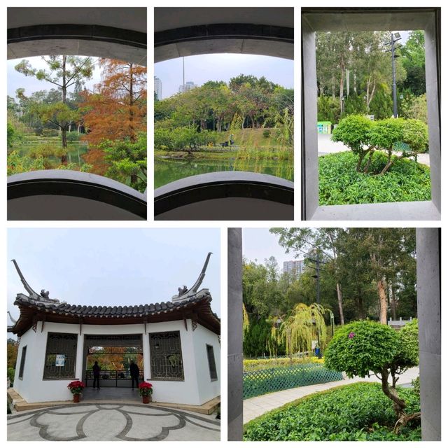 冬季限定: 北區公園之落羽松