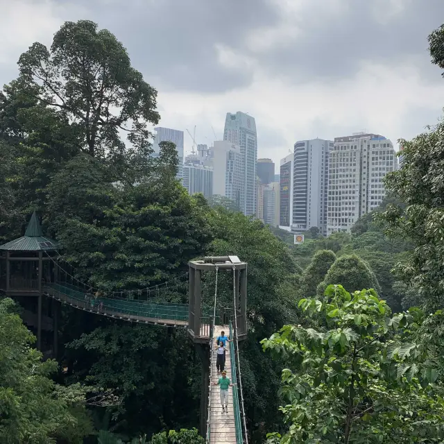 Jungle in the middle of Kuala Lumpur