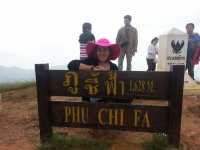 "ภูชี้ฟ้า"