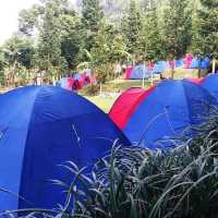 D'JUNGLE PRIVATE CAMP, BOGOR
