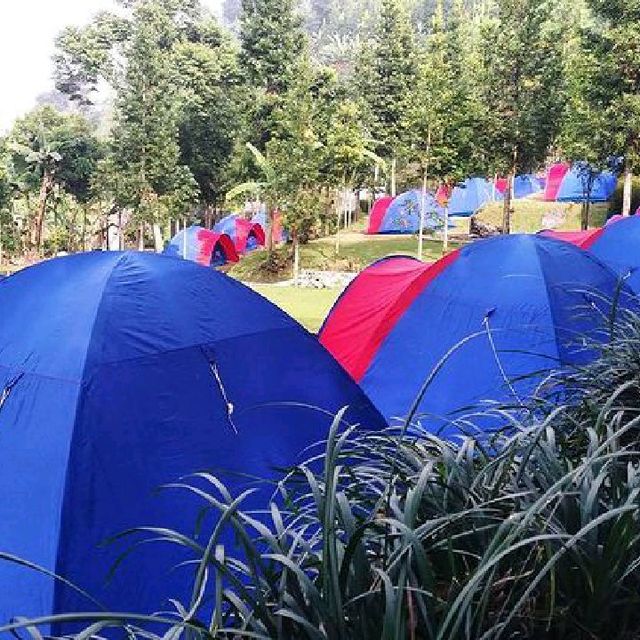 D'JUNGLE PRIVATE CAMP, BOGOR