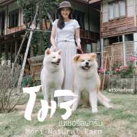 Mori Nature Farm โมริ เนเชอรัลฟาร์ม 