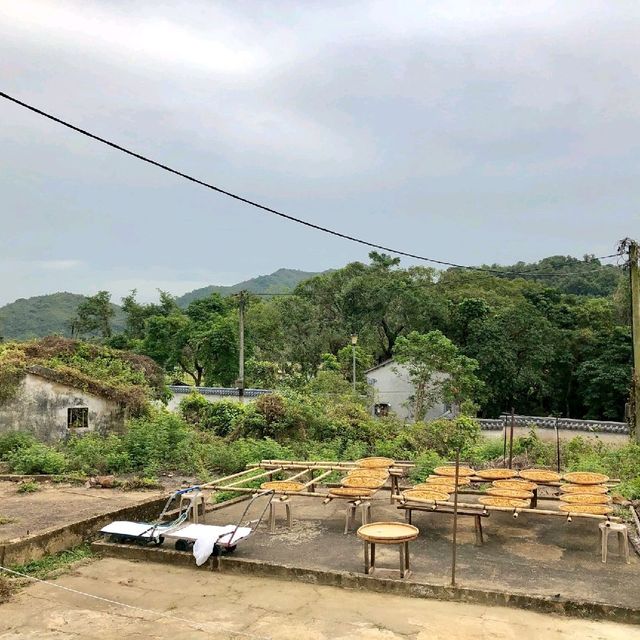 荔枝窩村