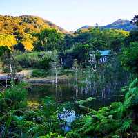 大嶼山龍仔悟園