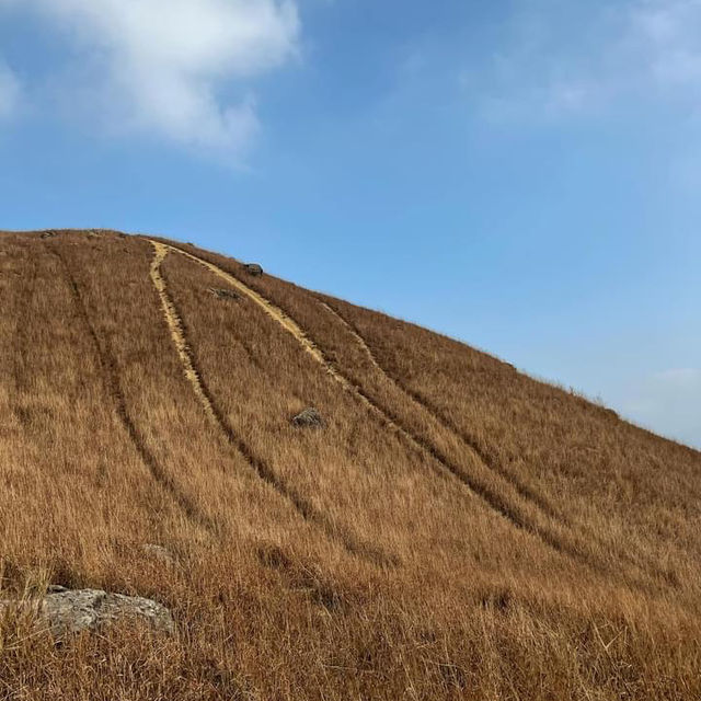 😍會愛上的山峰@🐔雞公嶺🏔