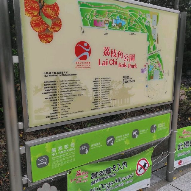 行到腳軟既荔枝角公園