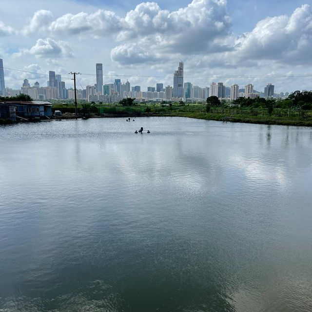 沿梧桐河行走，一路飽覽深圳和香港的城鄉美景