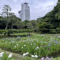 【東京】日本三名園の1つ！小石川後楽園