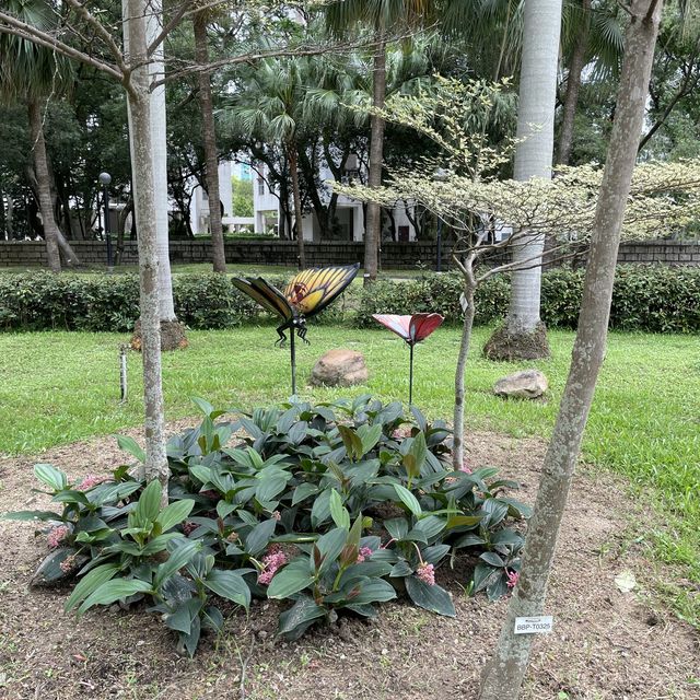 賞花好地方「蝴蝶灣公園」