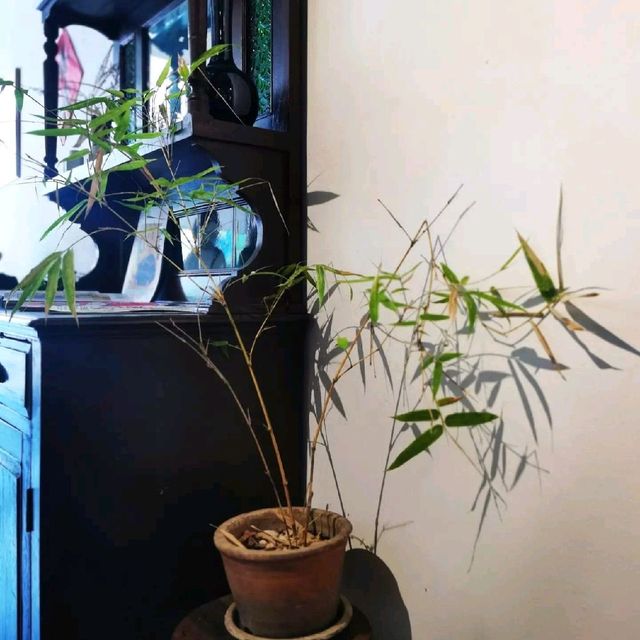 Seong Man Teahouse 上文 Seong Man Teahouse 上文
