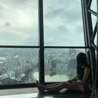마카오 타워에서 보는 전경 