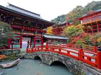 Yutoku Inari Shrine