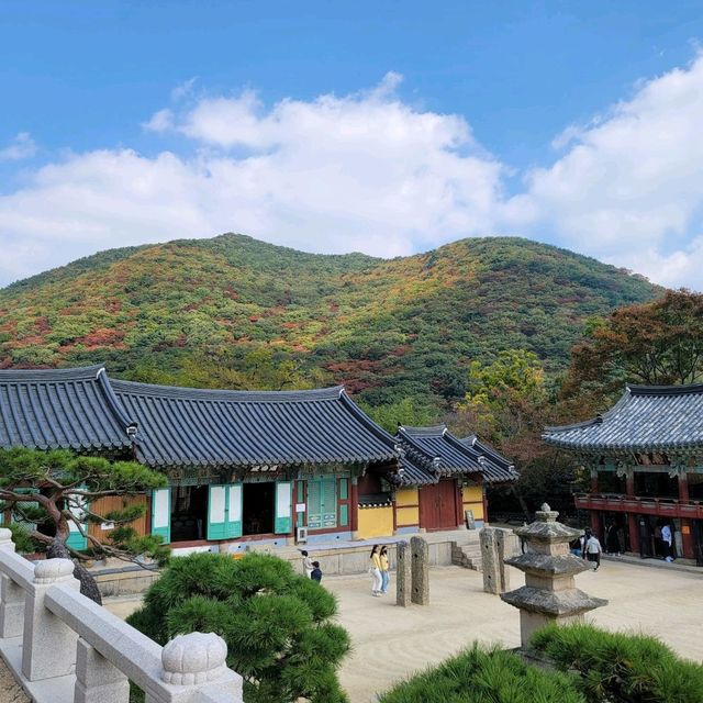 부산 가을을 만끽할 수 있는 범어사