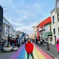 city tour in reykjavik