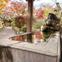 【長野・小諸】小諸城址懐古園