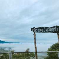 ทะเลหมอกภูทอก จุดเช็คอินที่ไม่ควรพลาด 📌